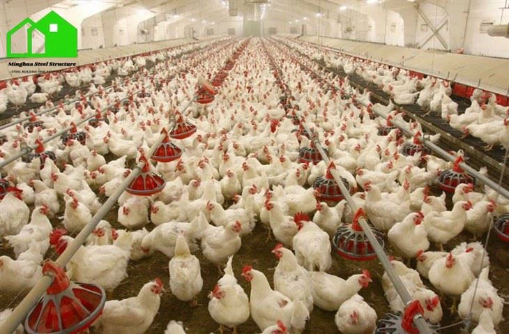 Traditional Poultry House