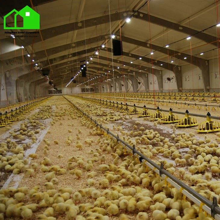 Traditional Poultry House